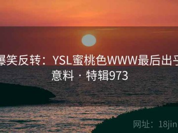 爆笑反转：YSL蜜桃色WWW最后出乎意料 · 特辑973
