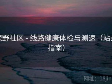 鹿野社区 - 线路健康体检与测速（站点指南）