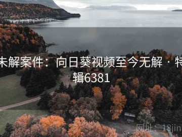 未解案件：向日葵视频至今无解 · 特辑6381