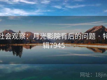 社会观察：月光影院背后的问题 · 特辑7945
