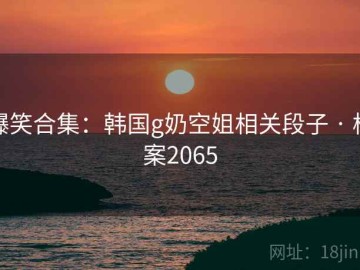 爆笑合集：韩国g奶空姐相关段子 · 档案2065