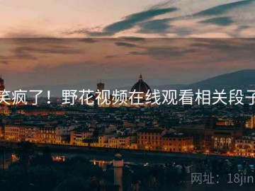 笑疯了！野花视频在线观看相关段子