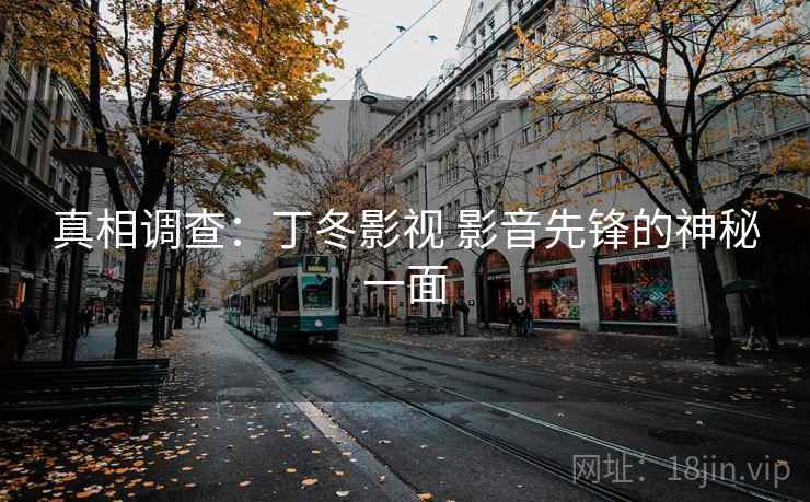真相调查：丁冬影视 影音先锋的神秘一面