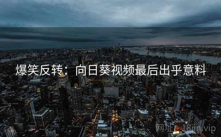 爆笑反转：向日葵视频最后出乎意料