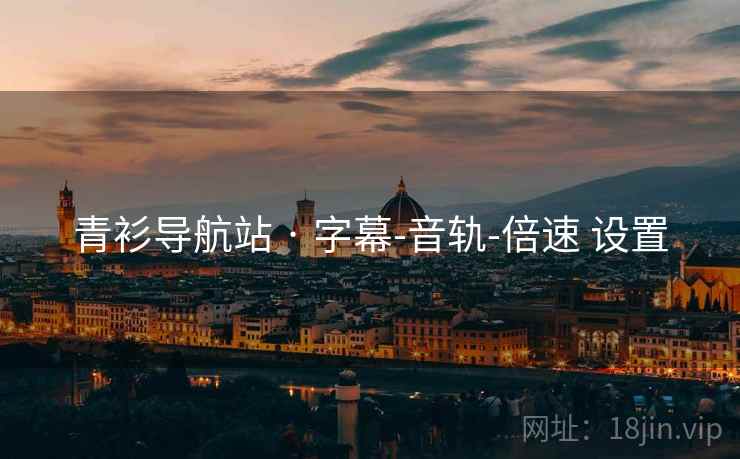 青衫导航站 · 字幕-音轨-倍速 设置