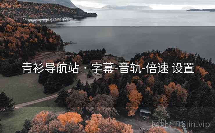 青衫导航站 · 字幕-音轨-倍速 设置