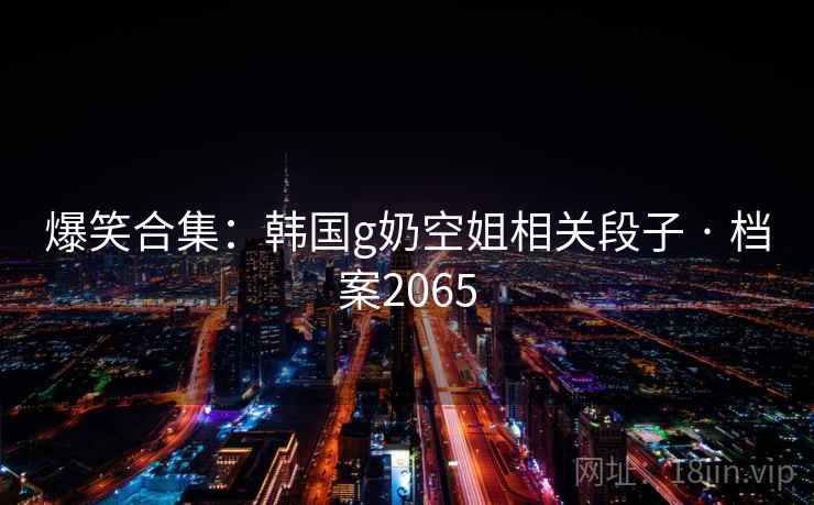 爆笑合集：韩国g奶空姐相关段子 · 档案2065