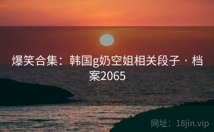 爆笑合集：韩国g奶空姐相关段子 · 档案2065